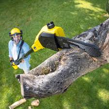 Best Emergency Tree Removal  in Hernando Beach, FL